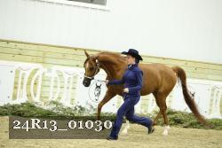 24R13_01030 thumbnail