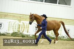 24R13_01031 thumbnail