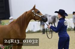 24R13_01032 thumbnail