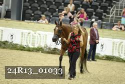 24R13_01033 thumbnail