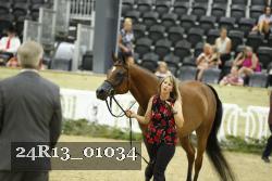 24R13_01034 thumbnail