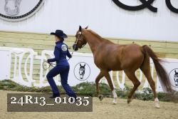 24R13_01035 thumbnail