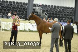 24R13_01036 thumbnail