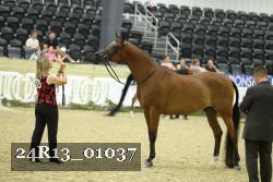 24R13_01037 thumbnail