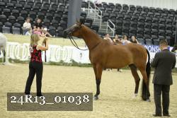 24R13_01038 thumbnail