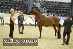 24R13_01040 thumbnail