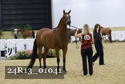 24R13_01041 thumbnail