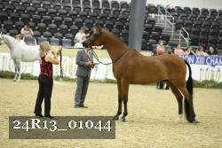 24R13_01044 thumbnail