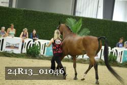 24R13_01046 thumbnail