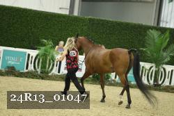24R13_01047 thumbnail