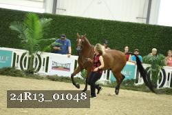 24R13_01048 thumbnail