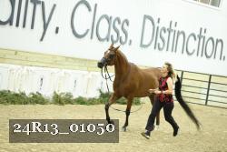 24R13_01050 thumbnail
