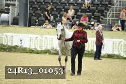 24R13_01053 thumbnail