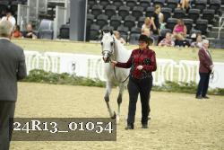 24R13_01054 thumbnail