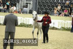 24R13_01055 thumbnail