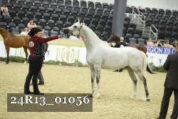 24R13_01056 thumbnail