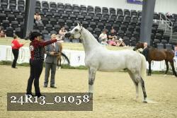 24R13_01058 thumbnail