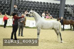 24R13_01059 thumbnail