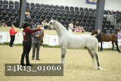 24R13_01060 thumbnail