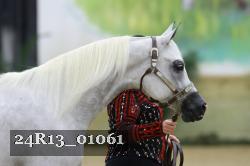 24R13_01061 thumbnail