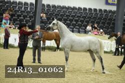 24R13_01062 thumbnail