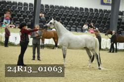 24R13_01063 thumbnail