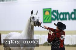 24R13_01067 thumbnail