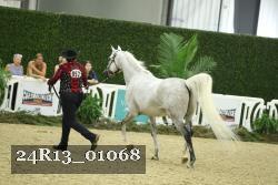 24R13_01068 thumbnail