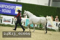 24R13_01069 thumbnail