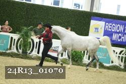 24R13_01070 thumbnail