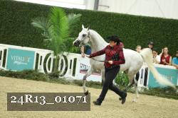 24R13_01071 thumbnail
