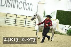 24R13_01073 thumbnail