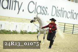 24R13_01075 thumbnail