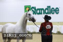 24R13_01076 thumbnail