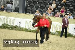 24R13_01079 thumbnail