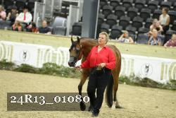 24R13_01080 thumbnail