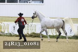 24R13_01081 thumbnail