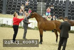 24R13_01083 thumbnail