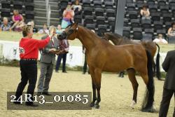 24R13_01085 thumbnail