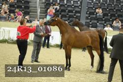 24R13_01086 thumbnail