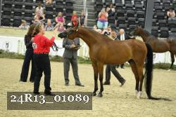 24R13_01089 thumbnail