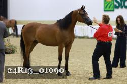 24R13_01090 thumbnail