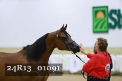 24R13_01091 thumbnail