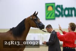 24R13_01092 thumbnail