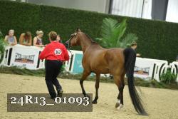 24R13_01093 thumbnail