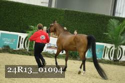 24R13_01094 thumbnail