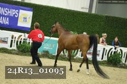 24R13_01095 thumbnail