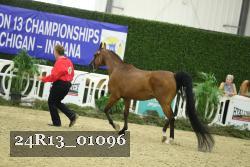 24R13_01096 thumbnail