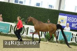 24R13_01097 thumbnail