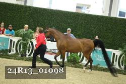 24R13_01098 thumbnail